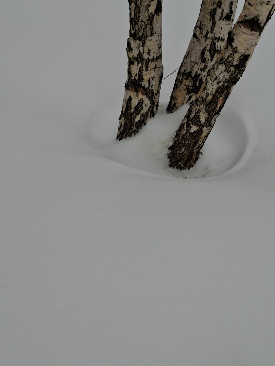 Снега намело и всё ещё метет...