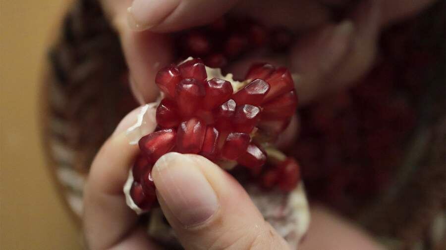    Фото: Global Look Press/Gerardo Vieyra/Eyepix Group