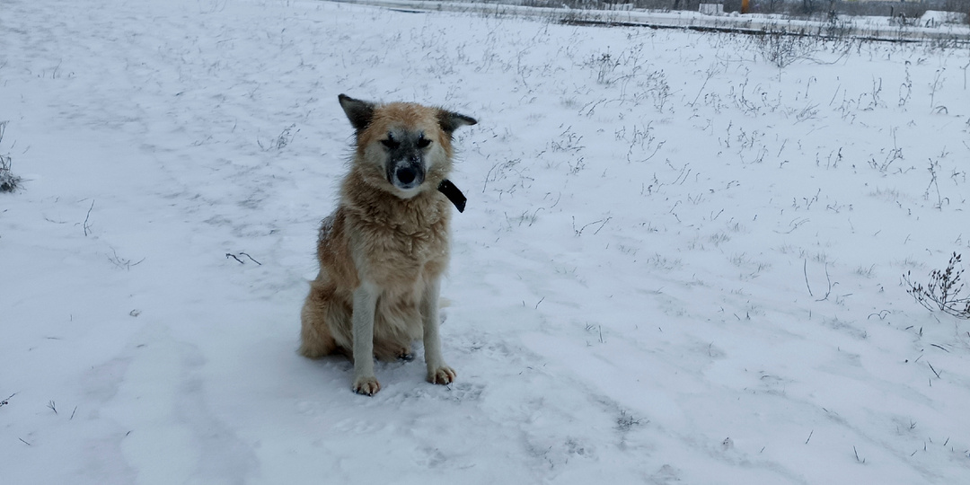 У нас прям зима уже.