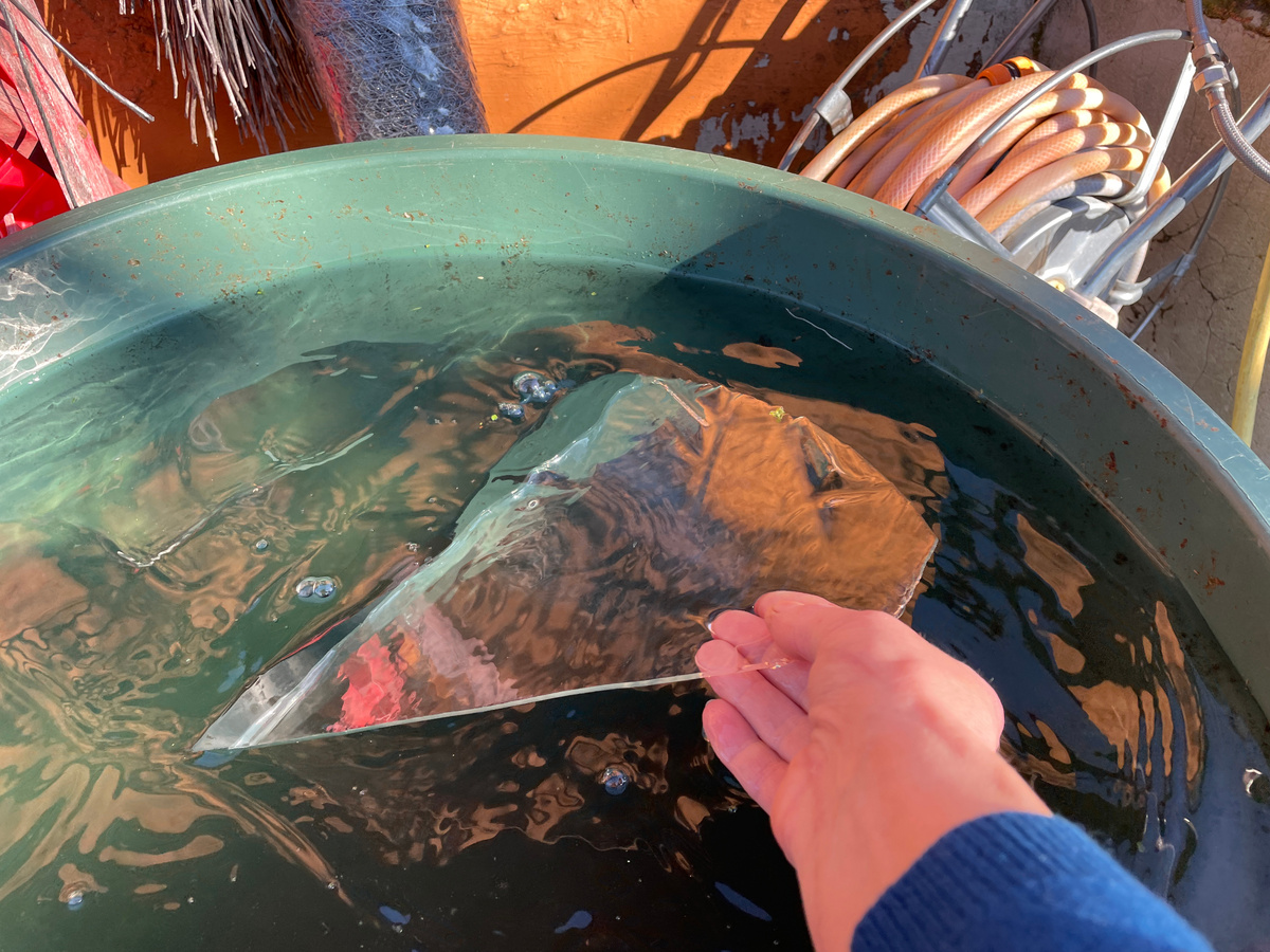 Вода по ночам замерзает