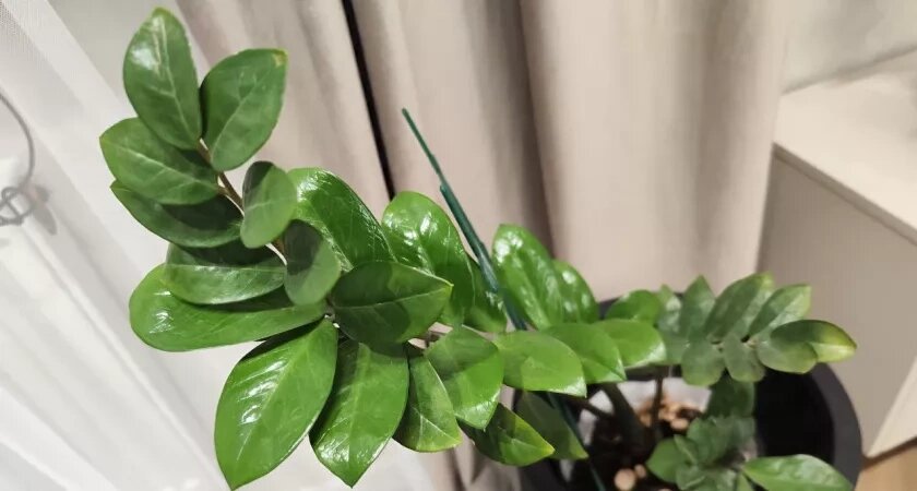    Фото usolie.info