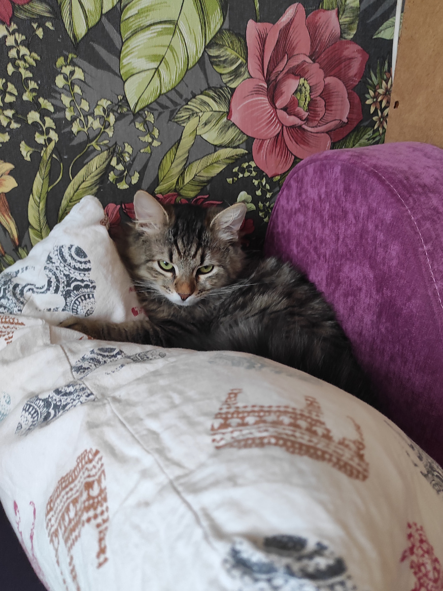 Да собрал, и ещё соберу