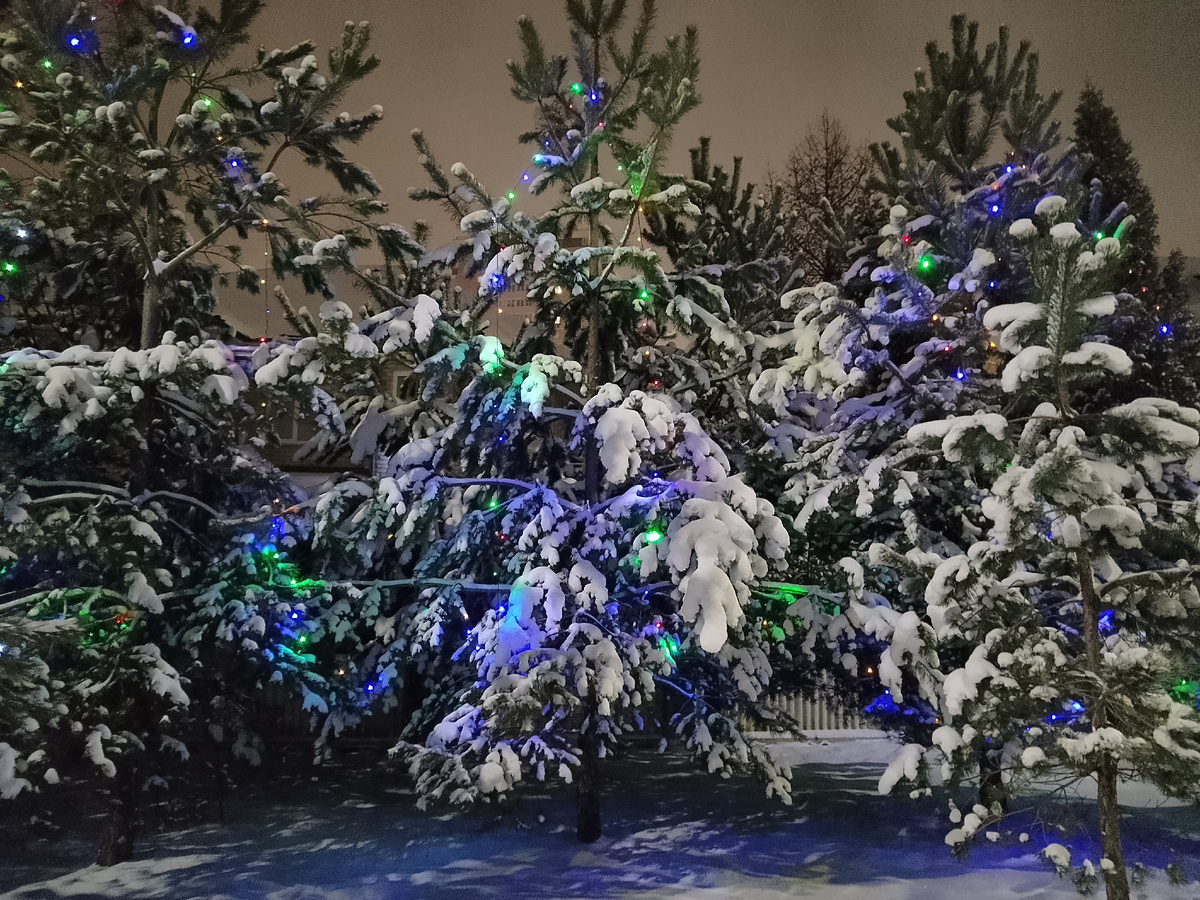 А вот такая красота у нас на улице сегодня