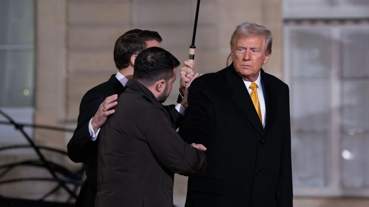    Фото: Frederic Legrand - COMEO/Shutterstock/Fotodom