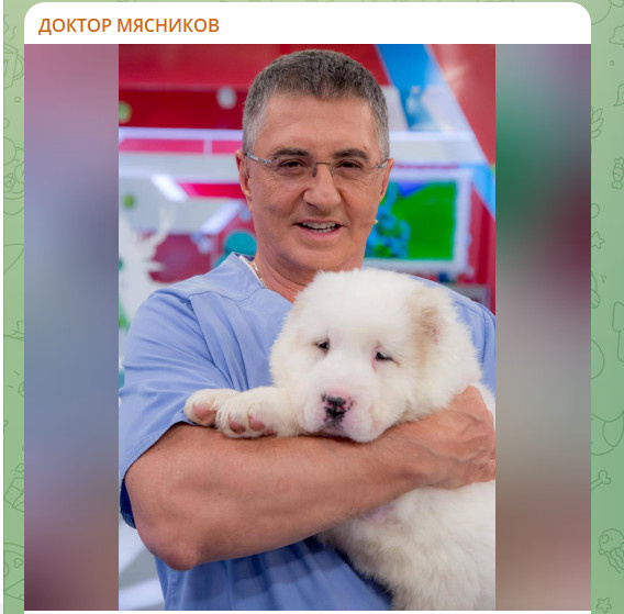    ФОТО: СКРИНШОТ ТГ-КАНАЛА "ДОКТОР МЯСНИКОВ"