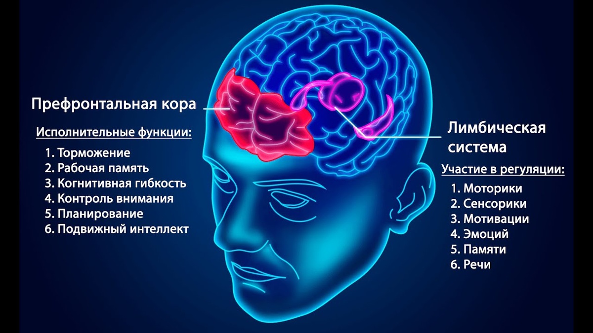Как недостаток кровотока влияет на память и речь