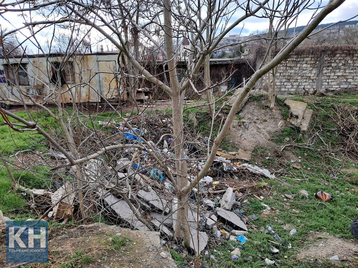 За годы успели вырасти деревья