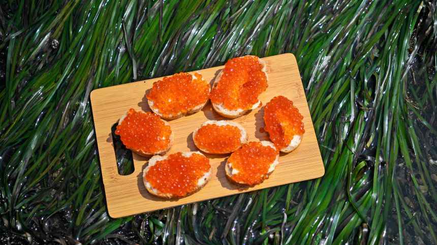    Фото: © РИА Новости/Александр Кряжев