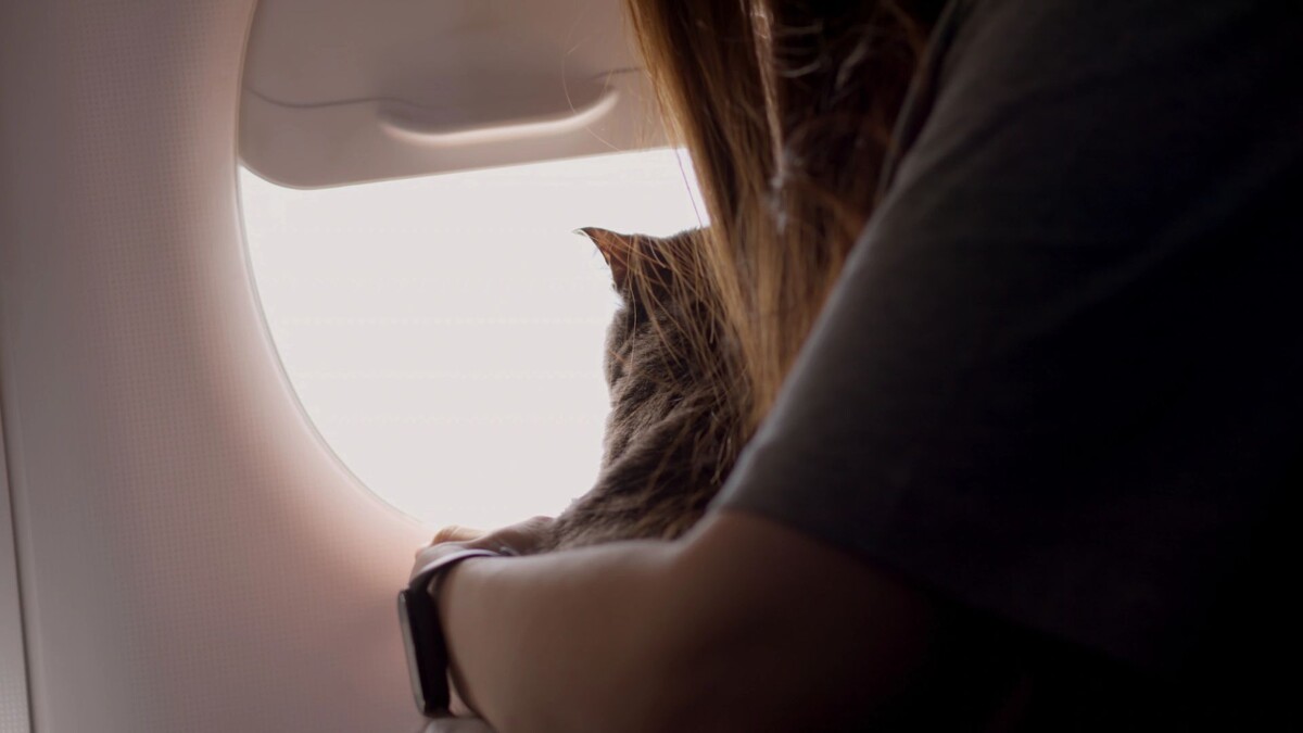    Фото: I.K.Media/Shutterstock/Fotodom