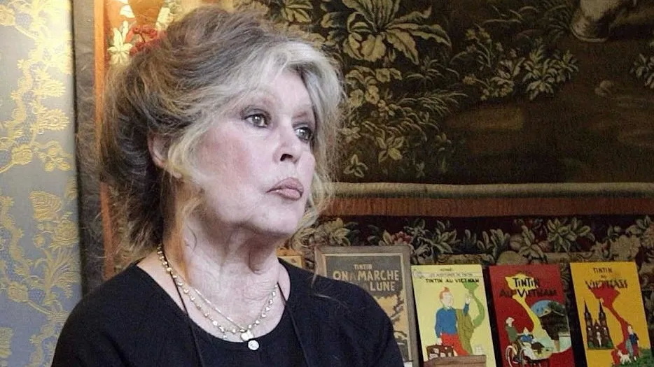 Бриджит Бардо: красивая женщина и бессмысленная жизнь среди людей