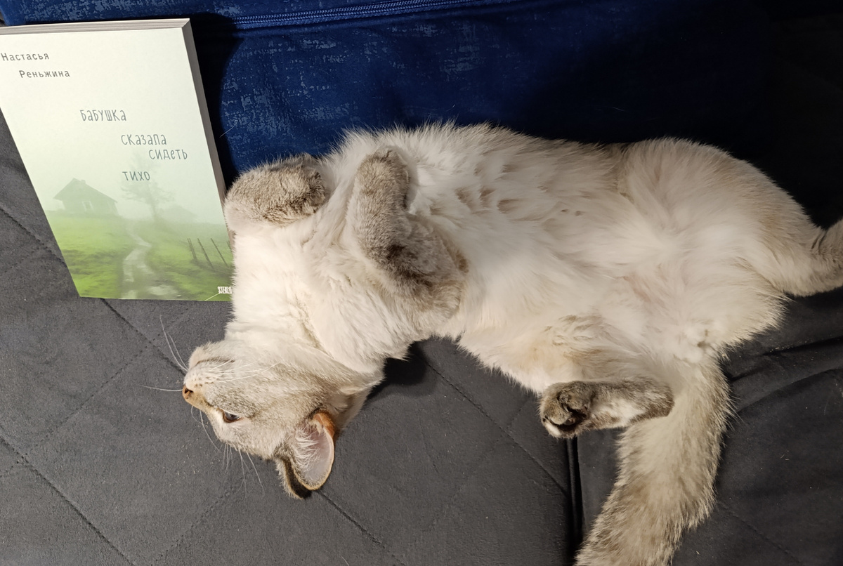 Книгу, которая сегодня у многих на устах, представляет Дженька. 