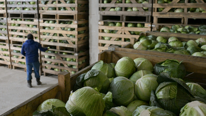    Фото: © РИА Новости/Александр Кряжев