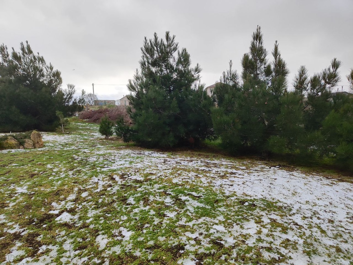 местами удается увидеть такой снег