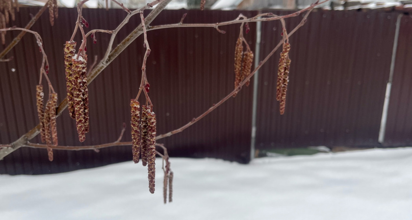    Фото из архива редакции