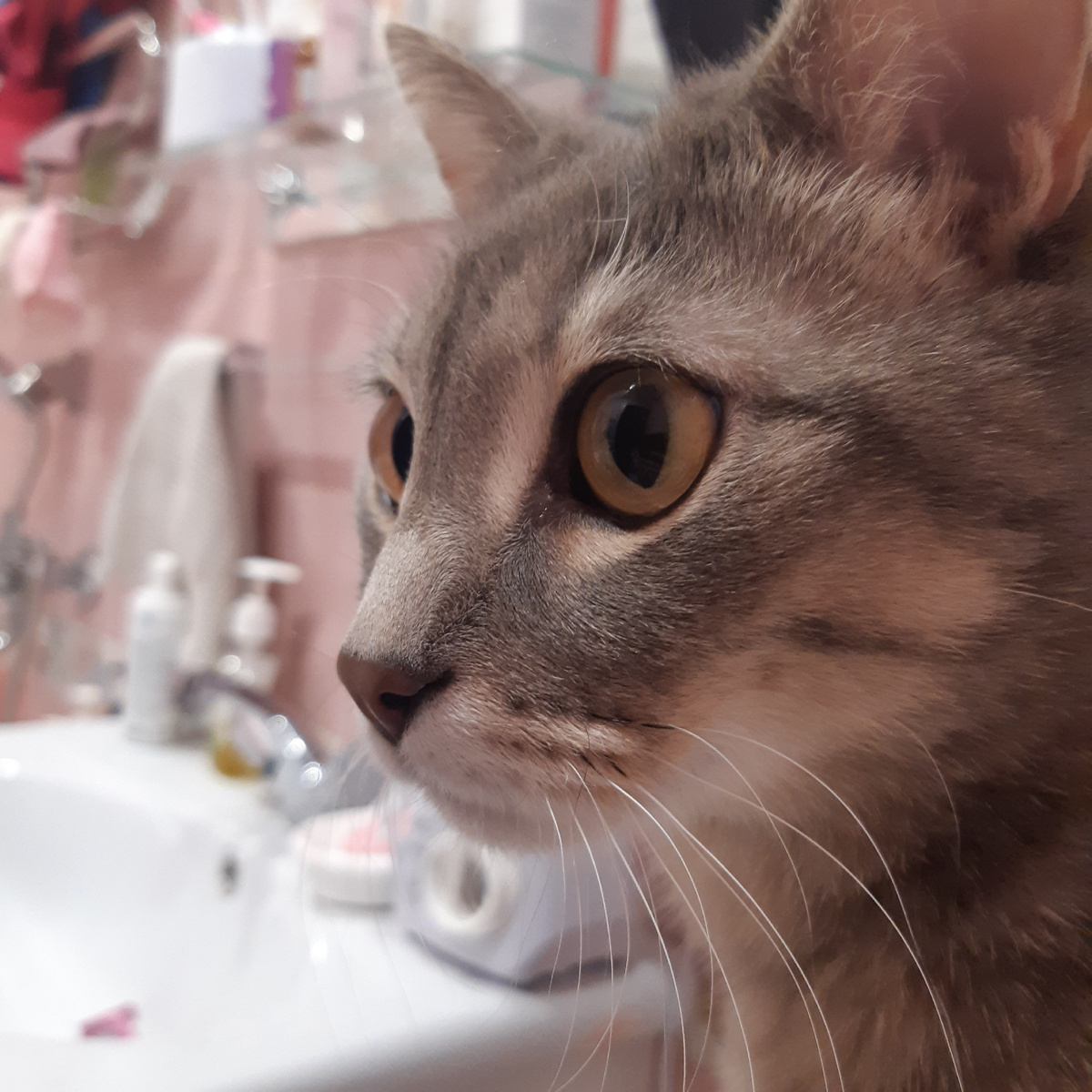 Сына пытается вспомнить всё 