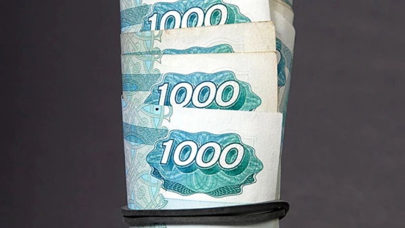     Коррупция. Анна Зайкова