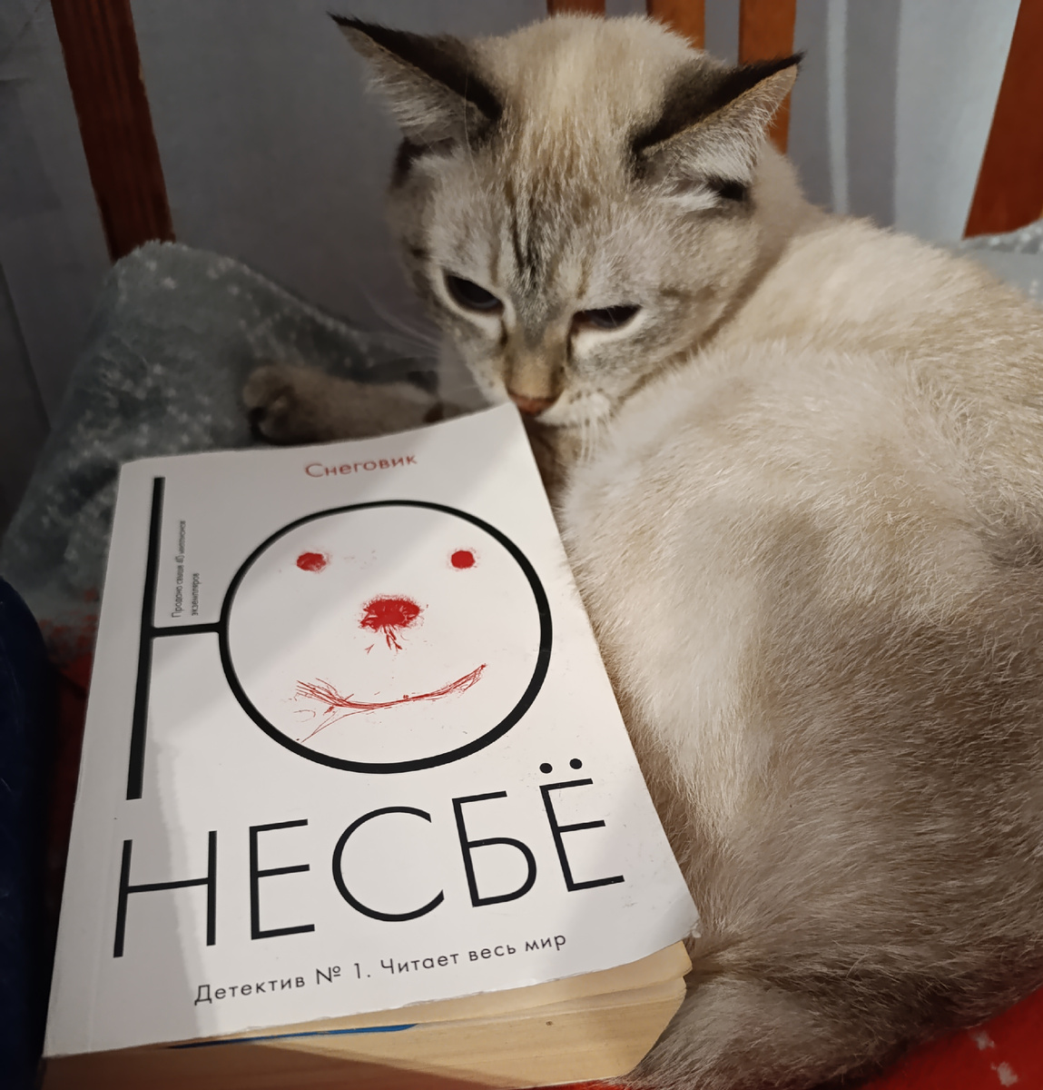 Самую известную книгу из серии о Харри Холе сегодня представляет Дженя. 