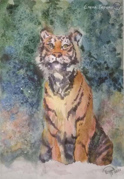 Художник: Елена Тюрина. Тигр. Бумага. Акварель. Размер: 27 х 21 см. 2021 г.