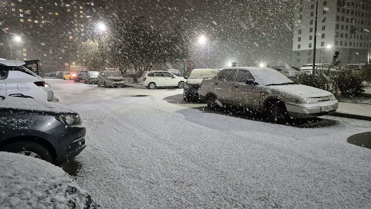    Фото: телеканал «Краснодар»