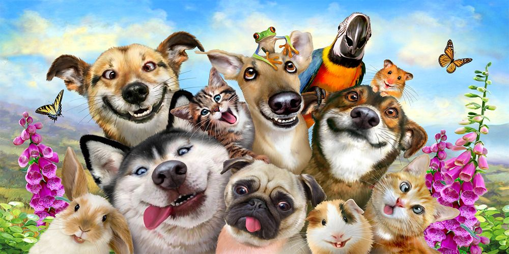 Рисунок из Яндекса. Спасибо автору. 