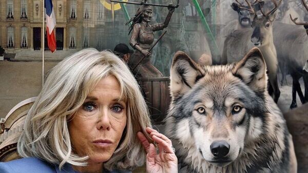    © Фото : коллаж Украина.Ру