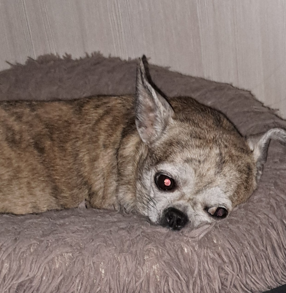 фото из личного архива