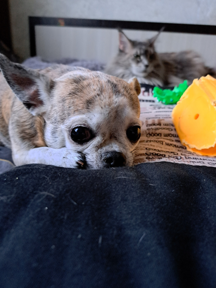 фото из личного архива