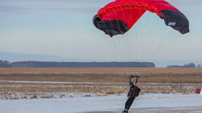    Фото: t.me/dzomsk