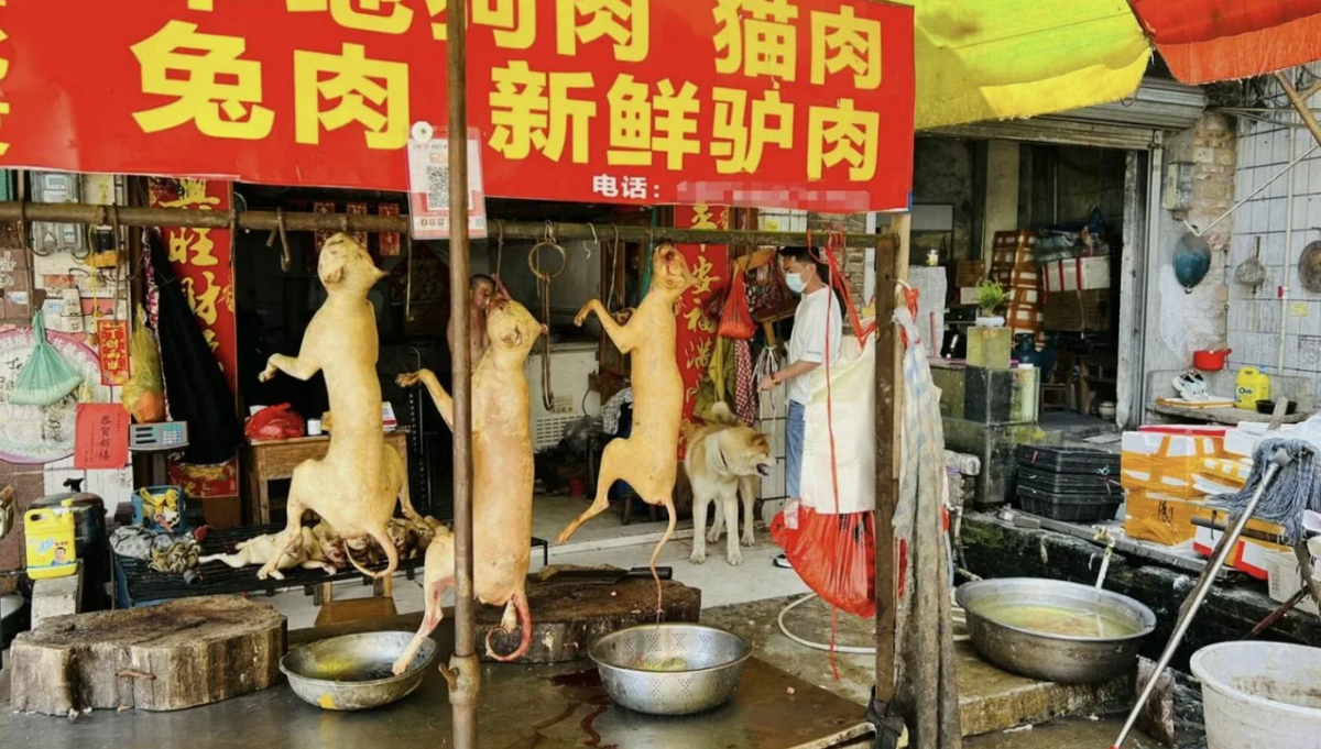 Это фотографии всего лет десять