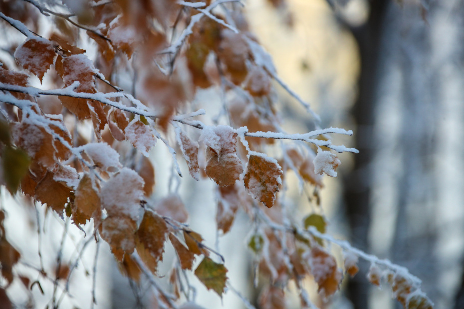    Сергей Лантюхов/NEWS.ru