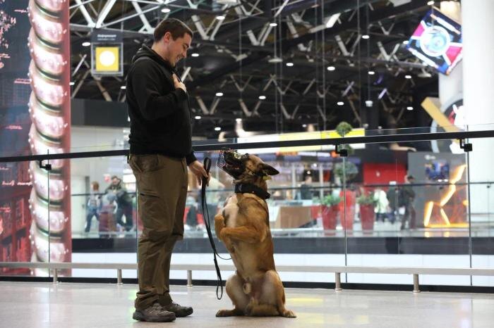 Обложка © Life.ru