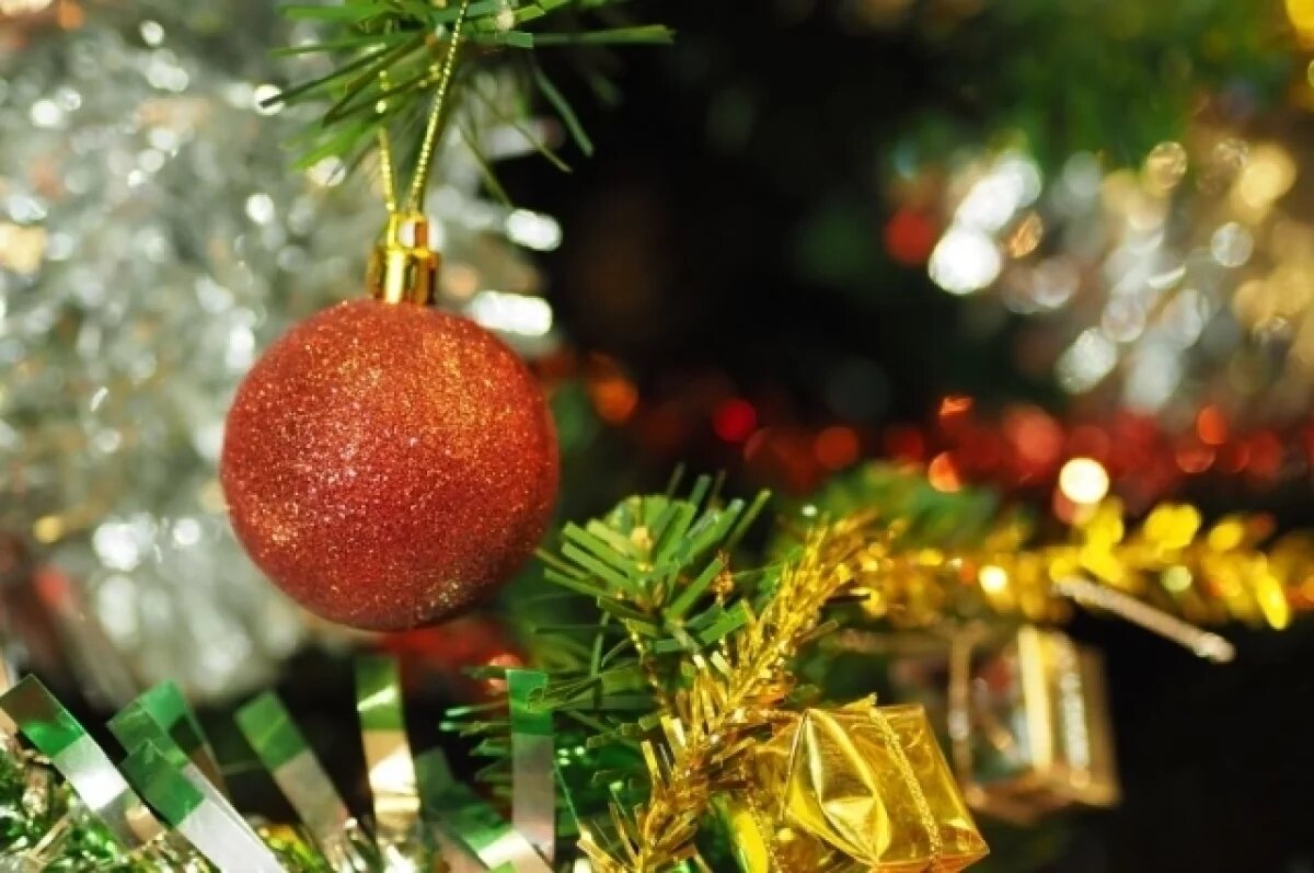    Врач Логина сказала, опасны ли для аллергиков натуральные новогодние ели