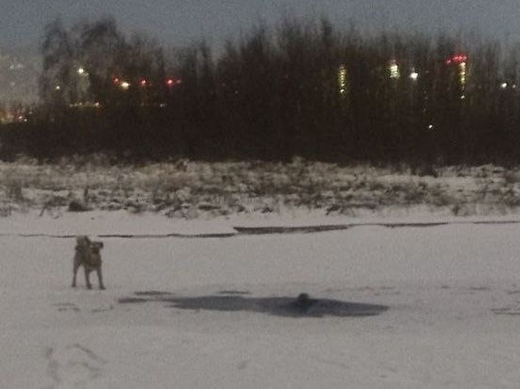     Фото: КГКУ "Спасатель"