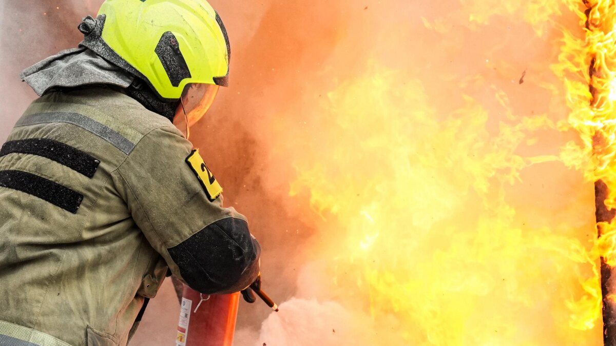    Фото: ИЗВЕСТИЯ/Андрей Эрштрем