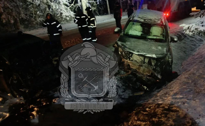    © Леноблпожспас