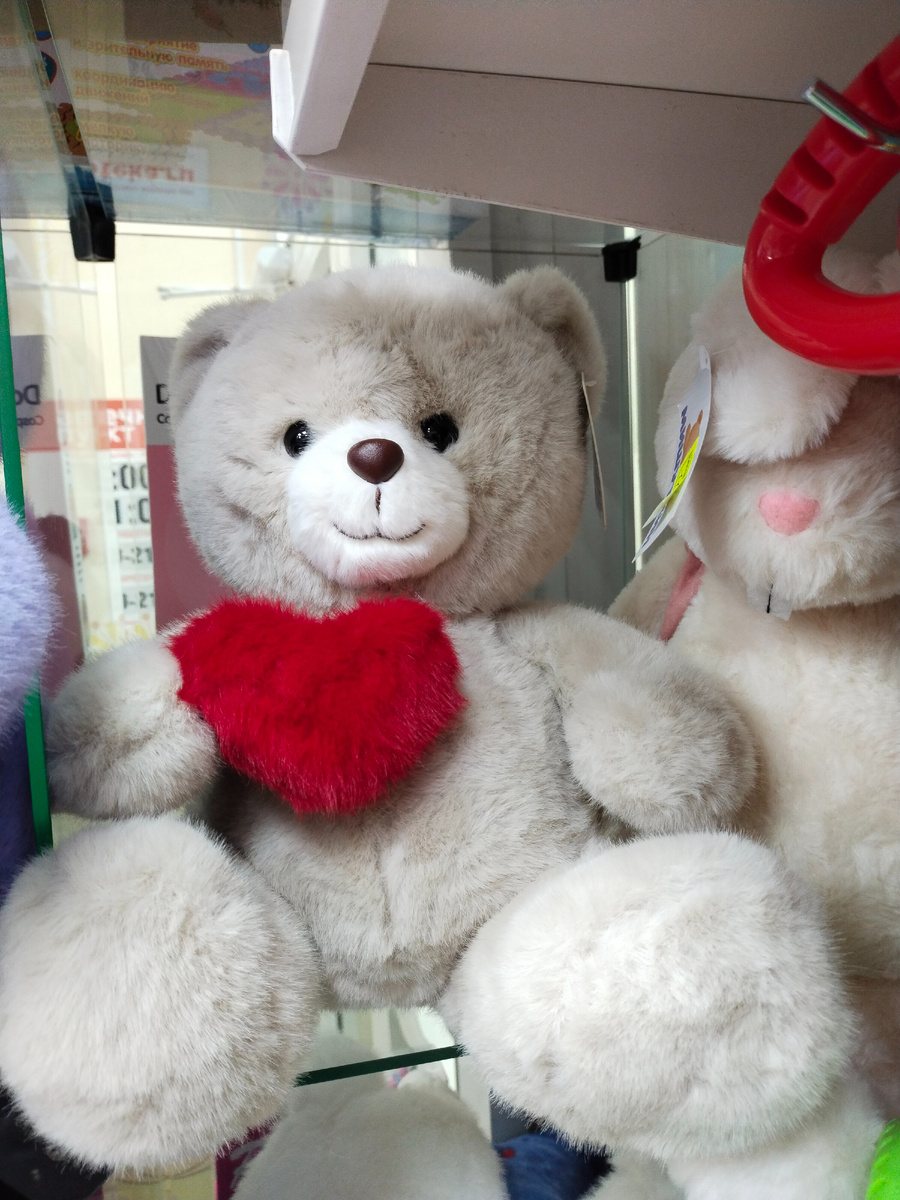 фото автора. Вот выбрала себе друга 🫶 ждёт меня на полке магазина. Буду новый 2026 год встречать вместе с ним 😅 Я ему уже и имя дала ☺️🤣(27.12.2025 время 16:45)