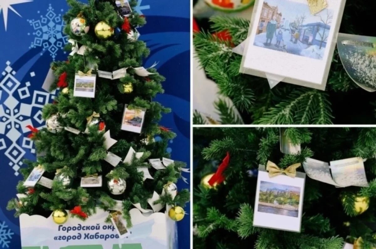    Народное голосование выбрало лучшие новогодние ёлки Хабаровского края