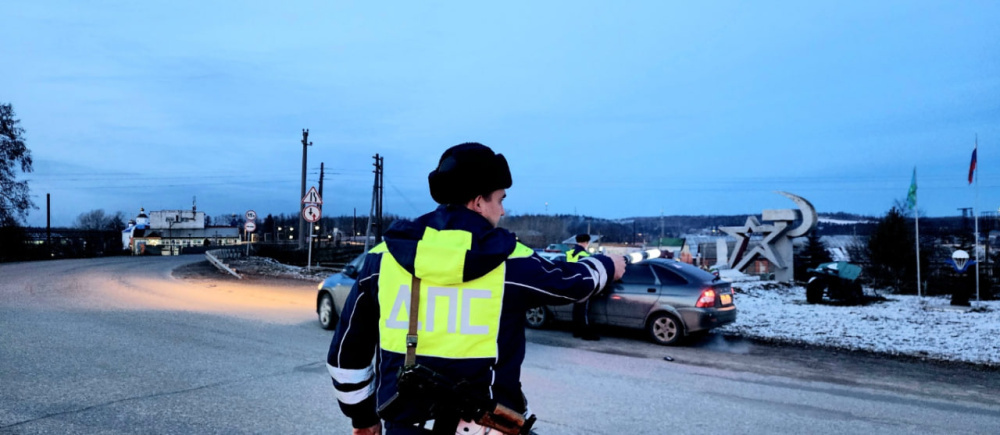     Фото: Госавтоинспекция Свердловской области