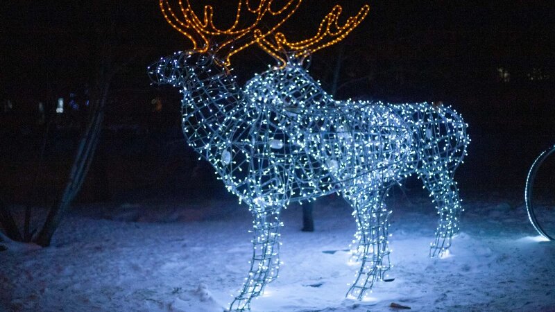     Первые признаки Нового года в Барнауле, 2025 год. Дарья Беркетова