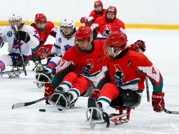     фото правительство ЯО