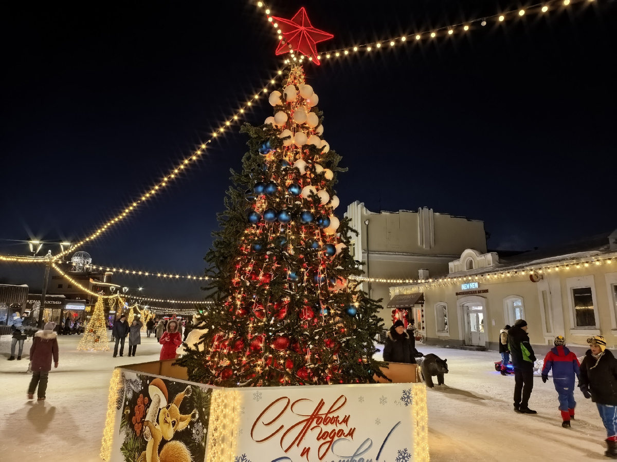ул. Мало-Тобольская Барнаул. Фото автора