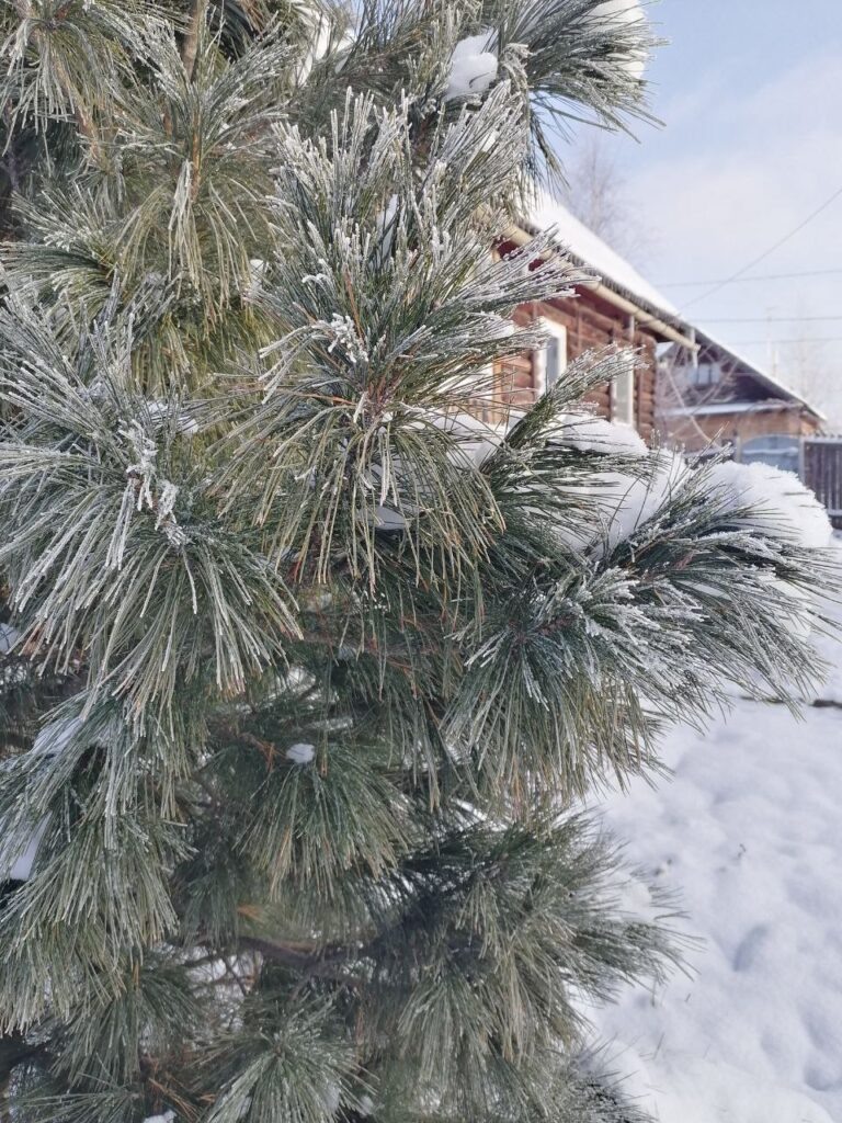    Фото: В курсе.ру Полина Анкушина