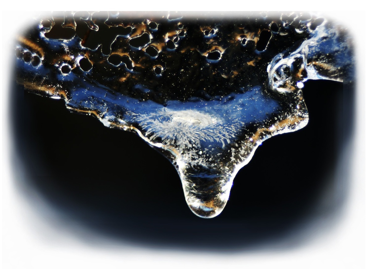 фото Зеленская А.В.