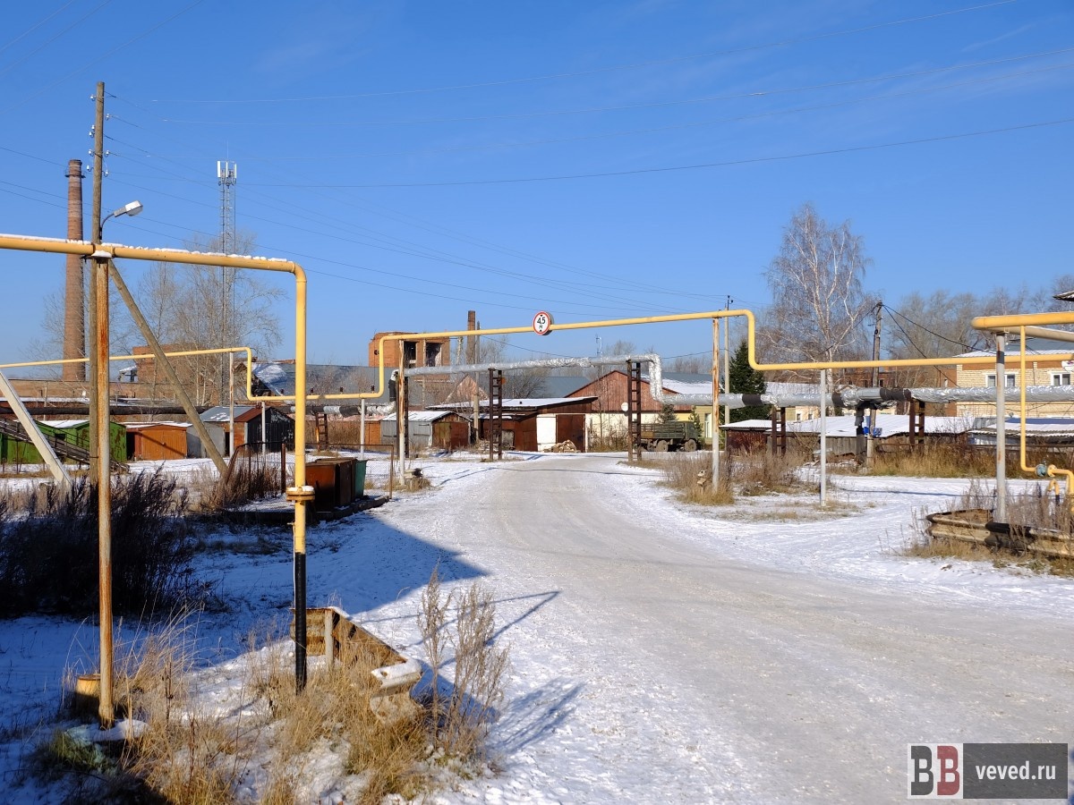     Фото: Владислав Постников / Вечерние ведомости