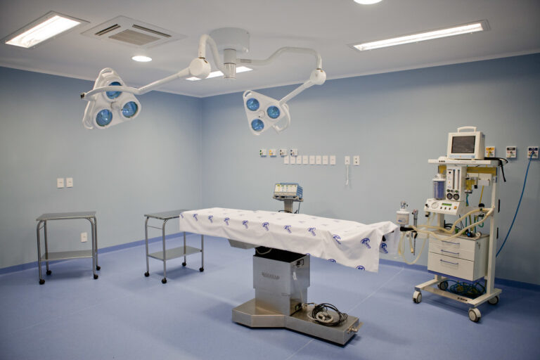    Фото: flickr.com/Foto Piratini/CC BY-NC-ND 2.0 Виктория Самойленко