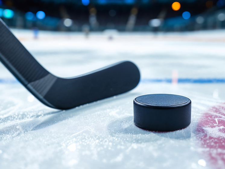     фото: ru.freepik.com