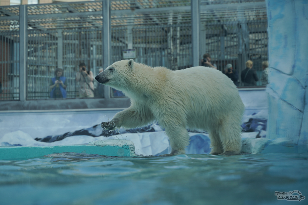    Фото: Лидия Аникина © ИА «Уральский меридиан»