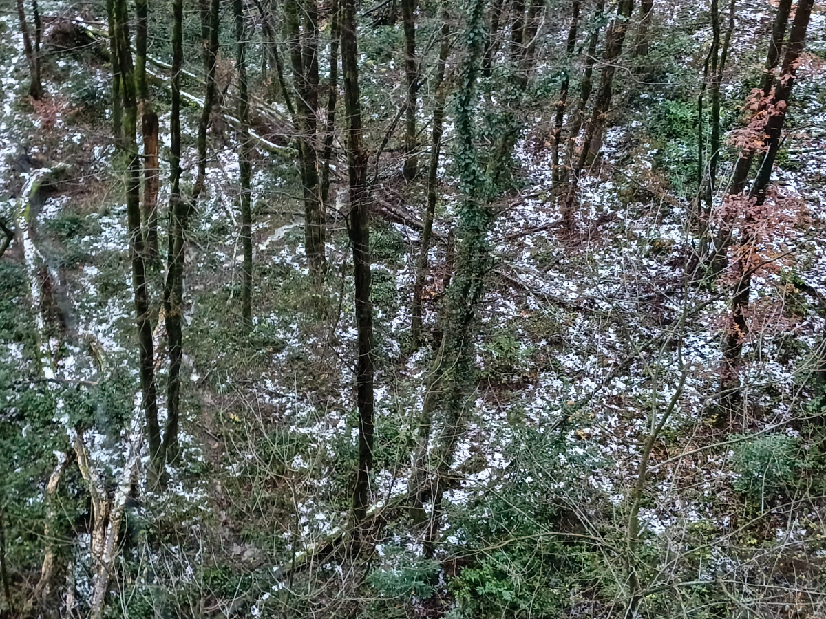 Адлер, 29 декабря 2025 года