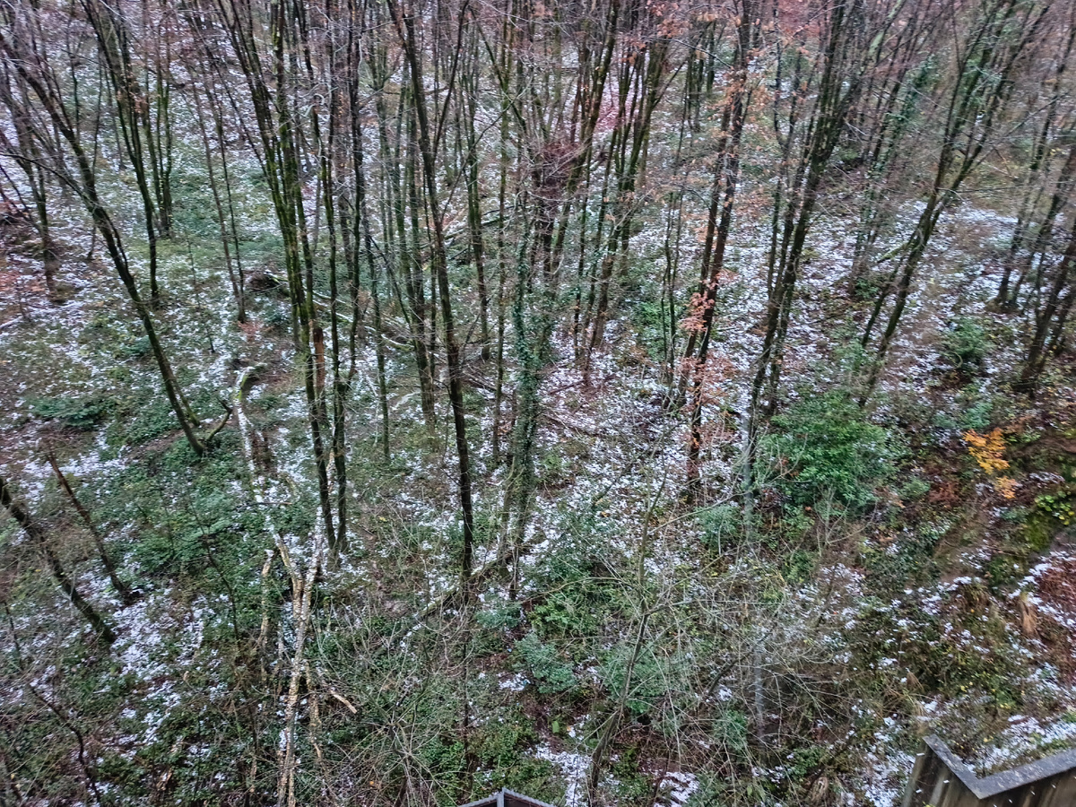 Адлер, 29 декабря 2025 года