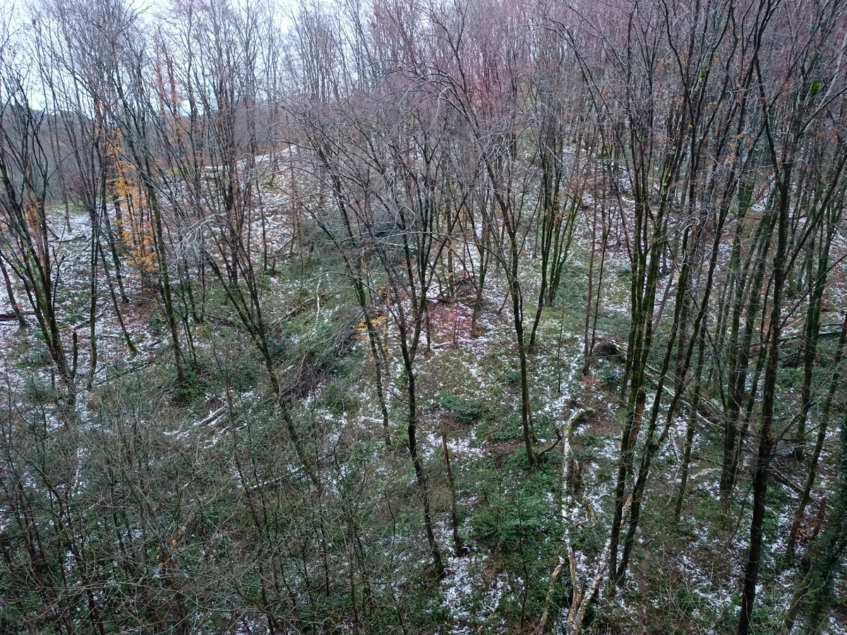 Адлер, 29 декабря 2025 года